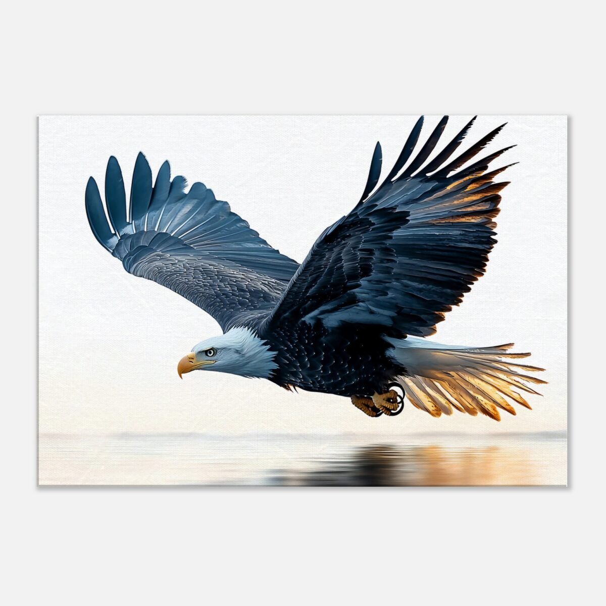 13c9516c-ddba-4b5d-ad93-fbe561a8348a